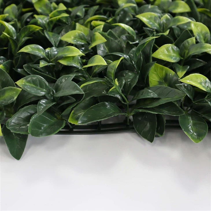 Indoor Plant Wall