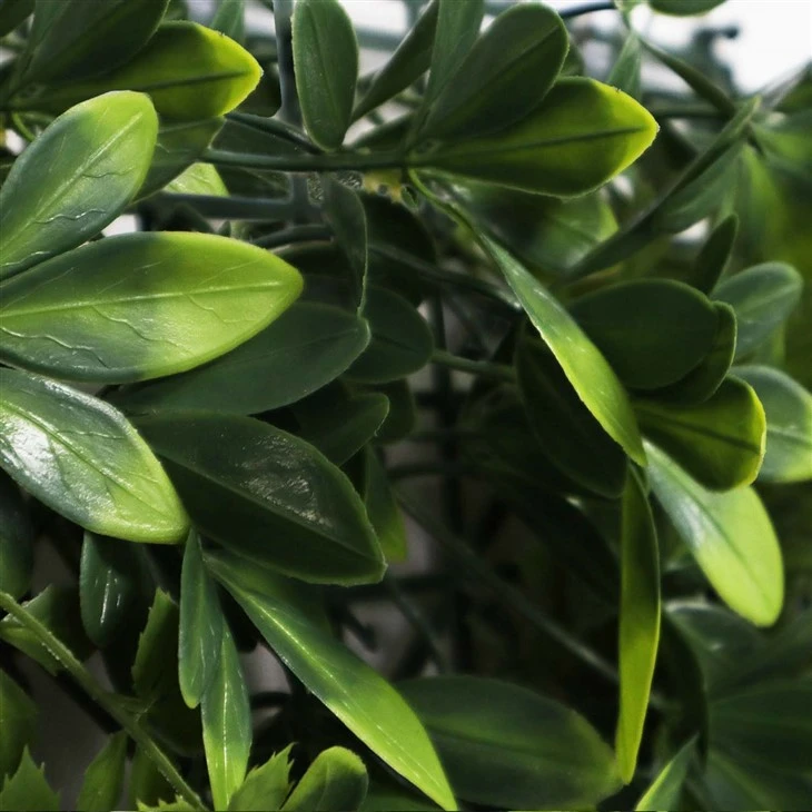 Vertical Green Wall