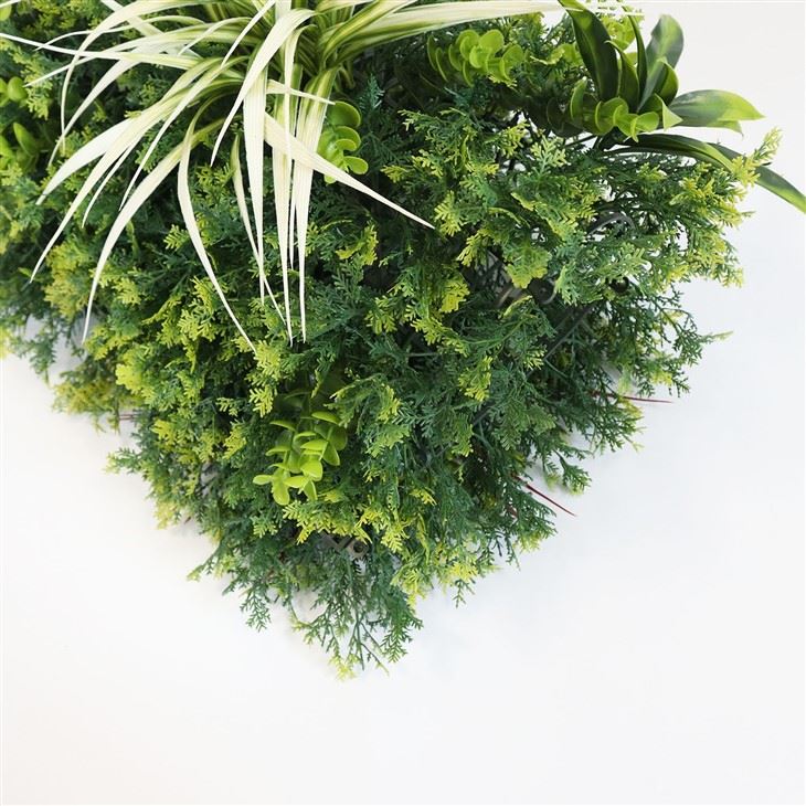 Interior Green Wall