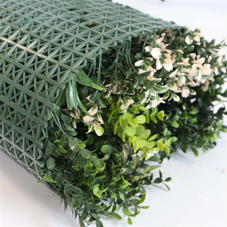 Best Plants For Indoor Plant Wall