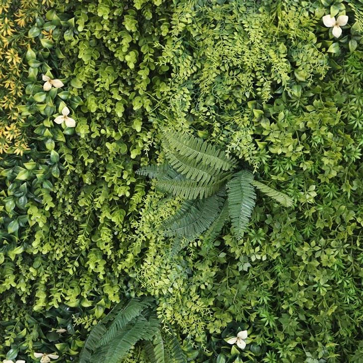 Diy Indoor Plant Wall
