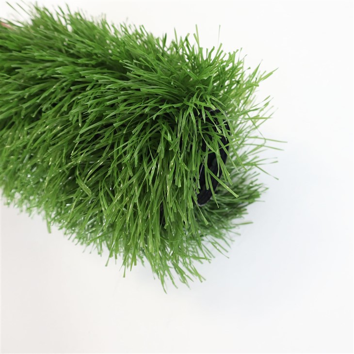 High Resolution Soccer Grass Background