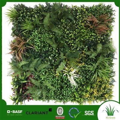 Sou entènèt jwèt Green Grass Wall