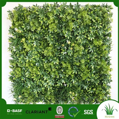 Sal manje Plant miray