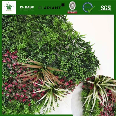 Green Wall System Andedan kay la