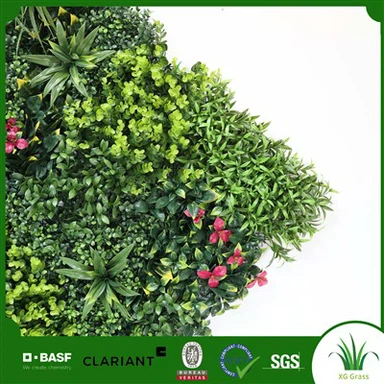 Andedan kay la zèb plant miray