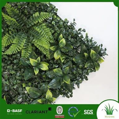 Living Green Wall Andedan kay la