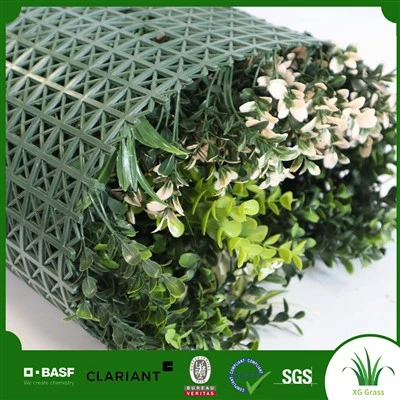 Living Wall Andedan kay la