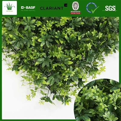 Living Wall Andedan kay la