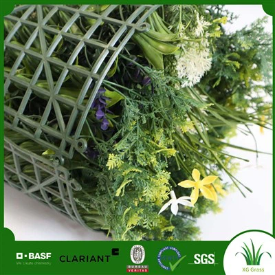 Plant miray andedan kay la brikoleur