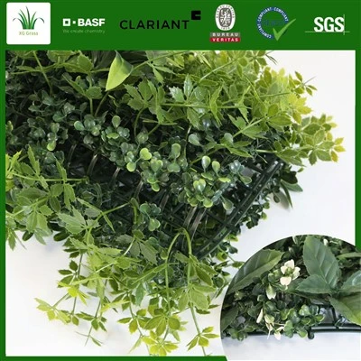Dirab Green Wall