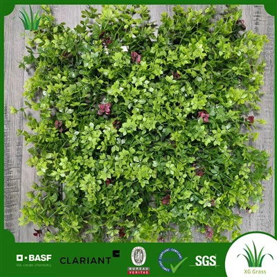 Plant jaden vètikal andedan kay la