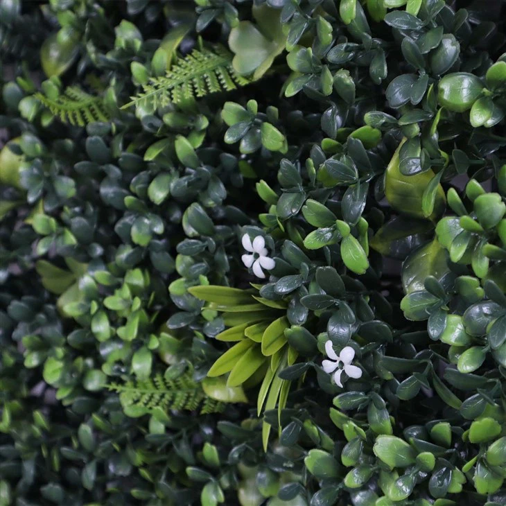 Vertical Garden Indoor Wall