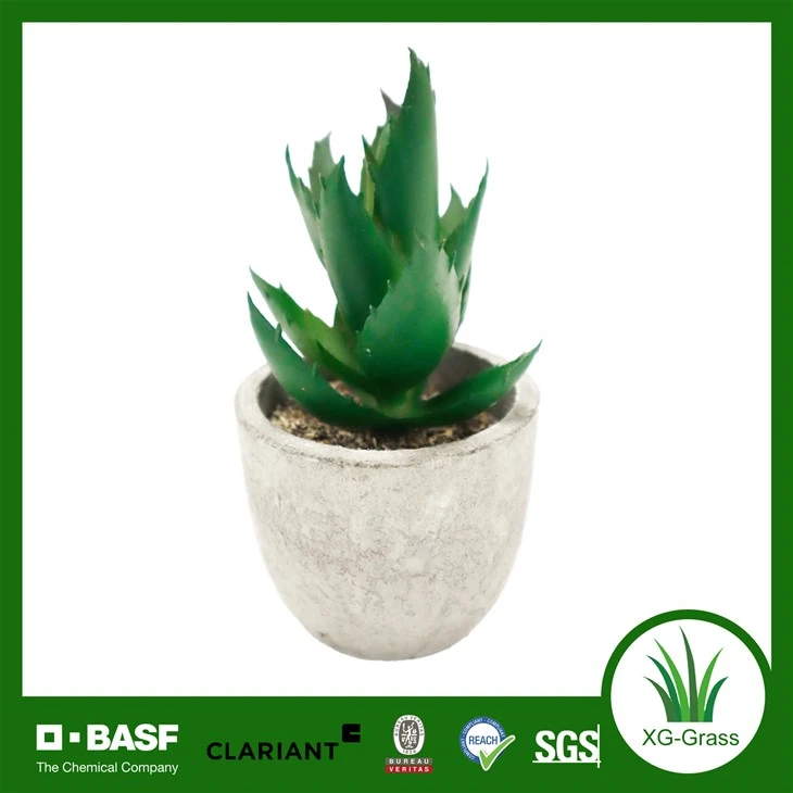 Xingu Lifelike Mini Faux Succulent Plant Pou Decor Kay